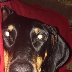 Meet your Posher, Cindy